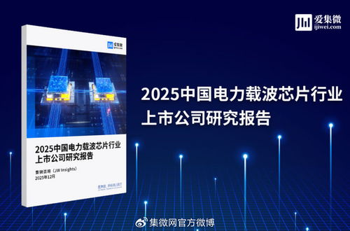 2025中國(guó)電力載波芯片行業(yè)上市公司研究報(bào)告與技術(shù)交流展望