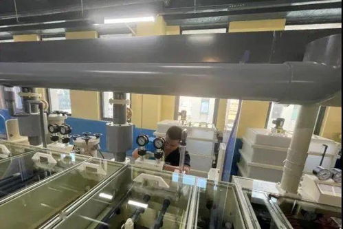 產業快訊 百宏集團BOPET新線投產，光莆股份5G柔性材料項目試產
